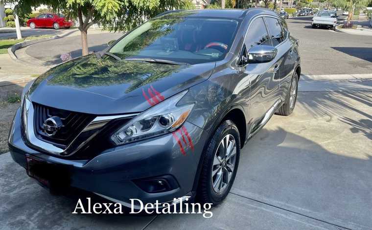 Alexa’s Mobile Detailing work 9