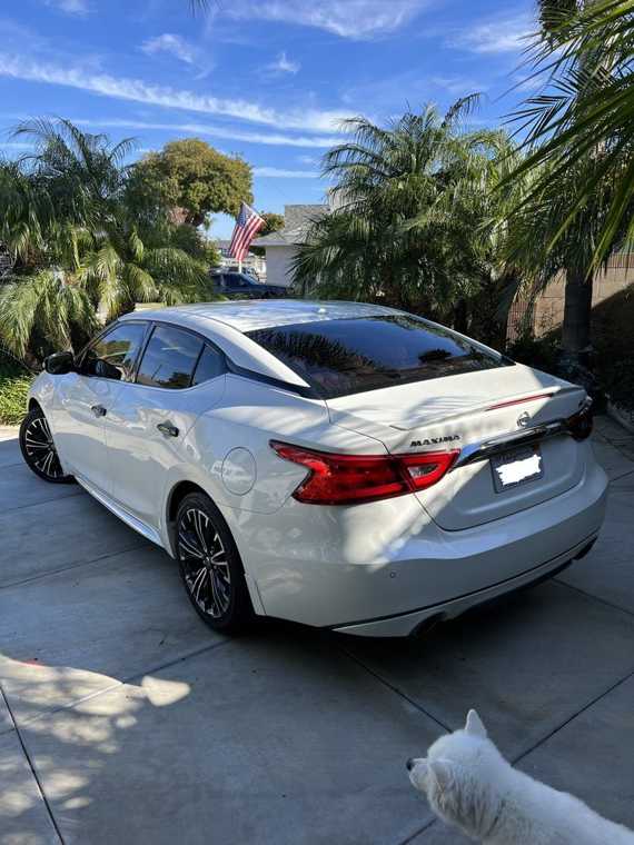 Serene Auto Spa work 2